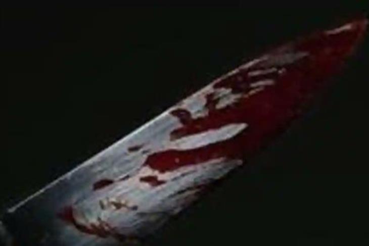 Two girls plan to stab their schoolmates with knives and drink their blood in Florida.