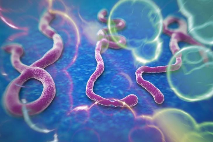 Ebola cases spiral up in DRC.
