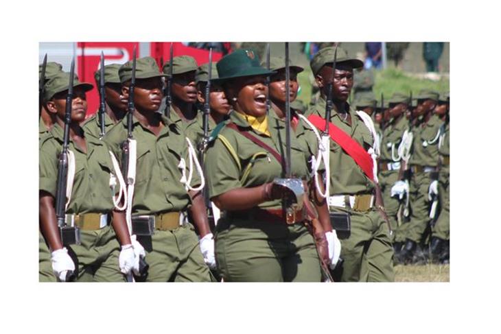 LDF remembers soldiers who died in the line of duty.