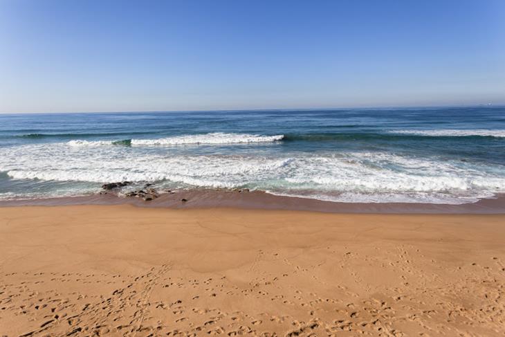SAPS discover human skulls in Eastern Cape.