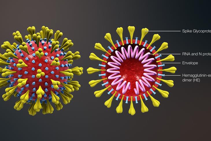 Ministry of Health releases a statement on the spread of coronavirus.