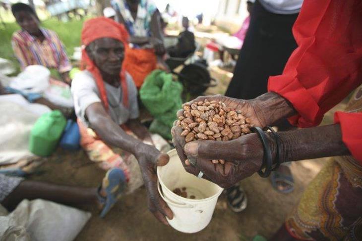 More than half of a population faces hunger in Zimbabwe.