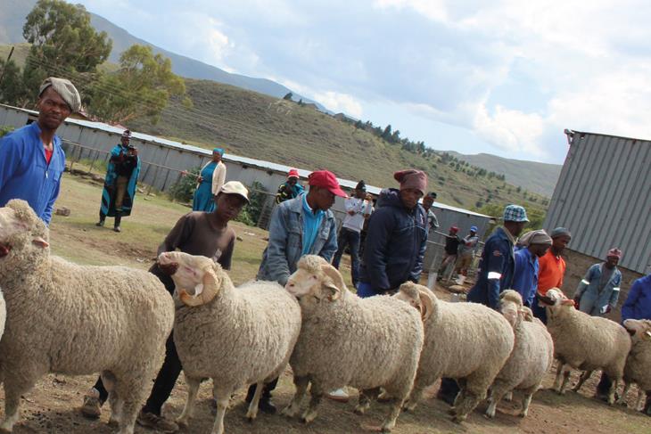 FARMERS URGED TO ENSURE TIMELY PAYMENT TO SHEPHERDS