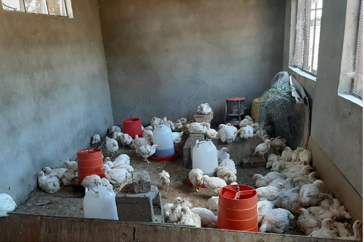 BORDERS STILL CLOSED FOR POULTRY IMPORT