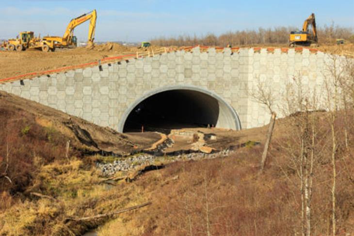 Nthane Brothers constructs two briedges in Mokhotlong