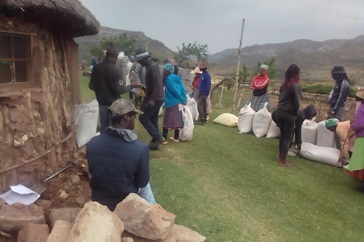 DMA distributes wheat to vulnerable households