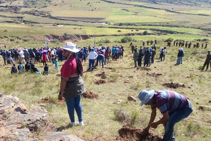 QUTHING TARGETS TO PLANT MORE THAN 20 000 TREES