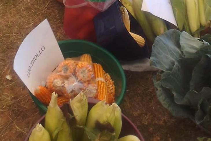 MAQHAKA RESOURCE CENTRE PREPARES FOR MARKET DAY