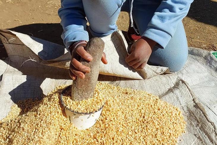 LESOTHO CALLS FOR LONG-TERM AFRICAN RESPONSE TO FERTILISER CRISIS<br/>LESOTHO CALLS FOR LONG-TERM AFRICAN RESPONSE TO FERTILISER CRISIS<br/>LESOTHO CALLS FOR LONG-TERM AFRICAN RESPONSE TO FERTILISER CRISIS