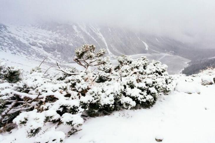 SNOWFALL RAISES FEARS OF LIVESTOCK LOSSES IN QACHA’S NEK