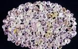 STORM MOUNTAIN DIAMONDS RESPONDS TO WHAT IT CALLS FALSE AND HARMFUL ALLEGATIONS