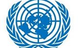 UN enlightens the Minister of Law about the progress in the national reforms