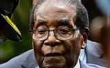 Mugabe’s new party supports MDC in Zimbabwe’s presidential elections