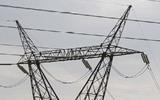 McKinsey apologises for overcharging Eskom