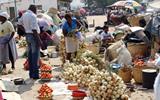 Zimbabwean government bans street vendors to fight Cholera outbreak.