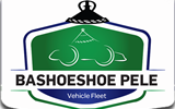 Bashoeshoe Pele Group celebrates National Security day.