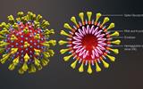 Ministry of Health releases a statement on the spread of coronavirus.