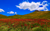 Peace Corps Lesotho suspends its program due to the spread of COVID-19.