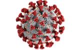 WHO concerned with the spread of COVID-19 in Africa.