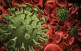 COVID cases in Africa up by 93% this week, says WHO Africa