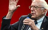 Bernie Sanders’s failure to back Gaza ceasefire disappoints US supporters