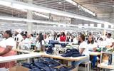 Resurgence of factory firms, investors express growing interest