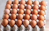 LESOTHO IMPOSES RESTRICTIONS ON IMPORTATION OF EGGS