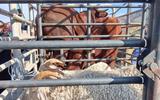 FARMING ASSOCIATION RECEIVED DONATION FROM PM