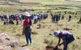 QUTHING TARGETS TO PLANT MORE THAN 20 000 TREES