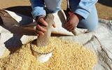 LESOTHO CALLS FOR LONG-TERM AFRICAN RESPONSE TO FERTILISER CRISIS