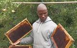 SEMANA BEE KEEPERS BRACE FOR SADC INDUSTRIALIZATION WEEK EXHIBITIONS