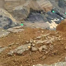 At least 1,000 killed in Sudan landslide
