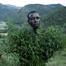 MAN IN COURT FOR ILLEGAL POSSESSION OF DAGGA