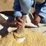 LESOTHO CALLS FOR LONG-TERM AFRICAN RESPONSE TO FERTILISER CRISIS