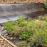 DRINKING WATER CRISIS ESCALATE AT BELA-BELA