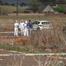 Ninth woman's body found as South African police investigate string of deaths