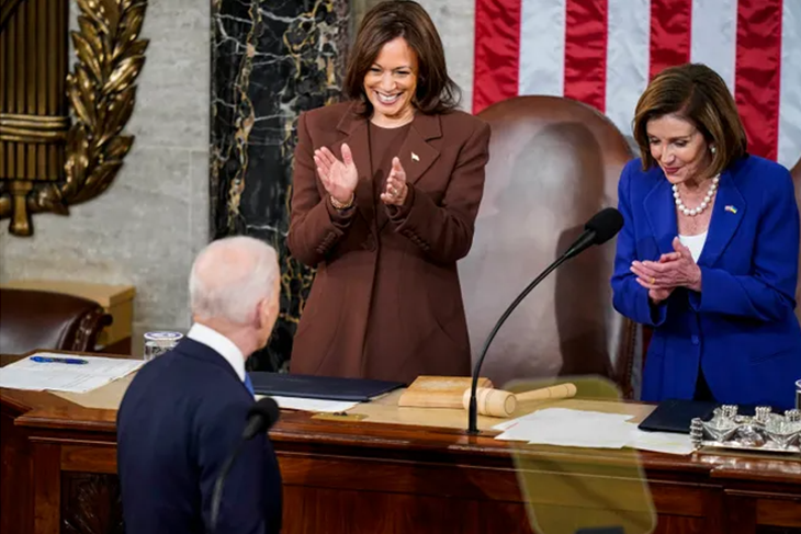 PELOSI ENDORSES HARRIS WITH 'IMMENSE PRIDE,' PRAISES BIDEN'S 'WISDOM'