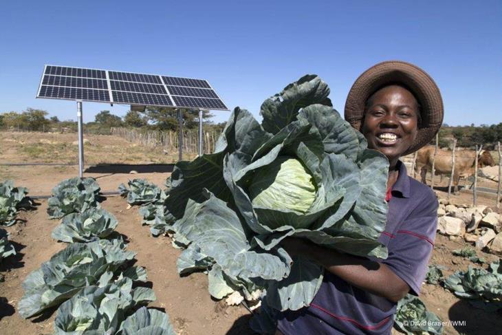 SELF-RELIANCE THROUGH FARMING: YOUNG PRODUCERS CALL FOR PEER INVOLVEMENT IN AGRICULTURE<br/>SELF-RELIANCE THROUGH FARMING: YOUNG PRODUCERS CALL FOR PEER INVOLVEMENT IN AGRICULTURE<br/>SELF-RELIANCE THROUGH FARMING: YOUNG PRODUCERS CALL FOR PEER INVOLVEMENT IN AGRICULTURE
