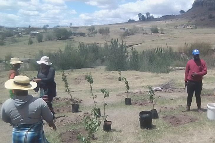 KHALAHALI COMMUNITY TEAMS UP TO COMBAT LAND DEGRATION<br/>KHALAHALI COMMUNITY TEAMS UP TO COMBAT LAND DEGRATION<br/>KHALAHALI COMMUNITY TEAMS UP TO COMBAT LAND DEGRATION