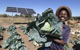 SELF-RELIANCE THROUGH FARMING: YOUNG PRODUCERS CALL FOR PEER INVOLVEMENT IN AGRICULTURE