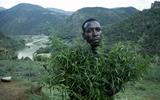 MAN IN COURT FOR ILLEGAL POSSESSION OF DAGGA