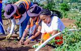 MAPOTENG AGRIBUSINESS MEMBERS STRENGTHEN UNITY THROUGH COOKOUT