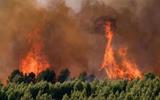 France records 2,025 excess deaths at peak of heatwave as Europe braces for more extreme weather