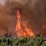 France records 2,025 excess deaths at peak of heatwave as Europe braces for more extreme weather